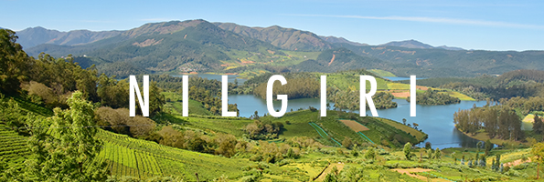 Nilgiri